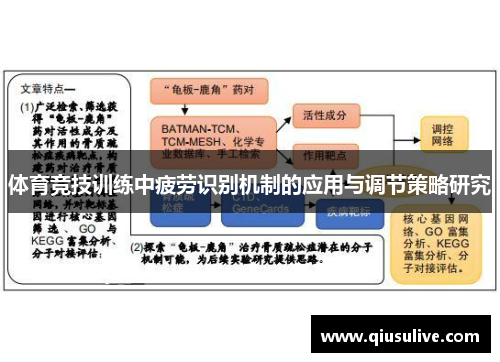 体育竞技训练中疲劳识别机制的应用与调节策略研究